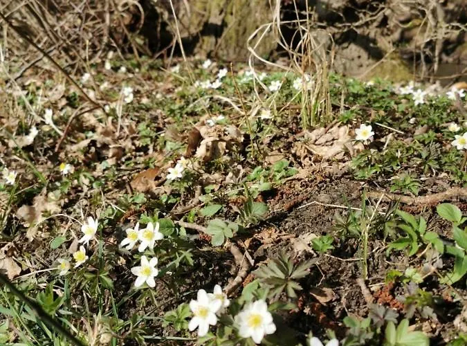 Gl. Havn Bed and Breakfast